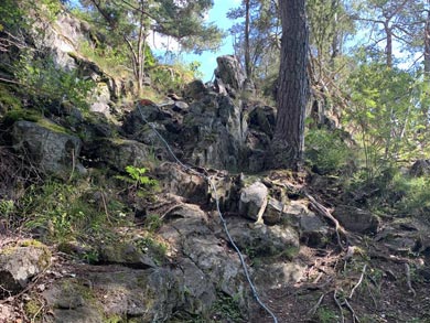 The paths can be uneven and rocky at times | Photo: NT