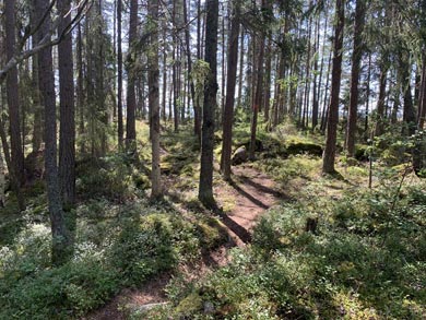 You're never far from the water on this coastal hike | Photo: NT