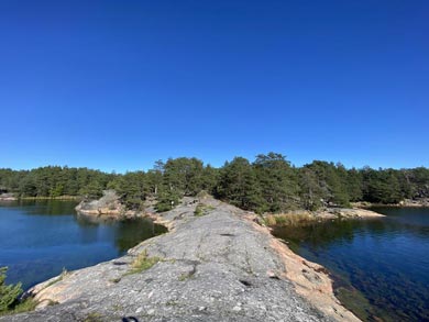 Stend&ouml;rren Nature Reserve | Photo: NT