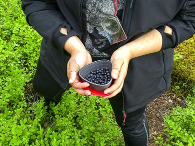 Self-guided Sea Kayaking in the Helsinki Archipelago | Photo: Alex Strom