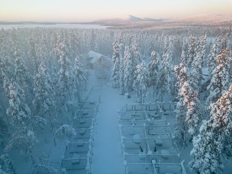 Polar Lights Husky Sledding in Finnish Lapland