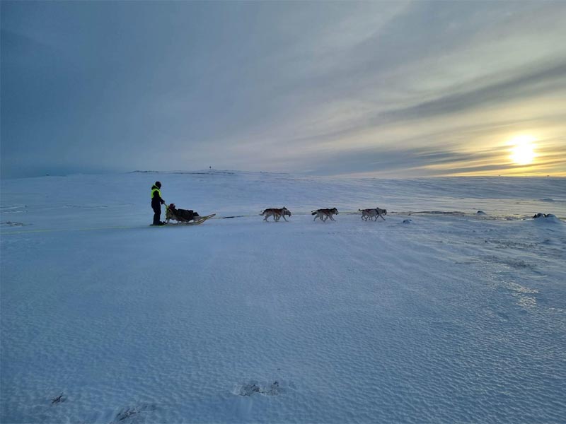 Experience Dog Sledding and Winter Camping in Finnmark