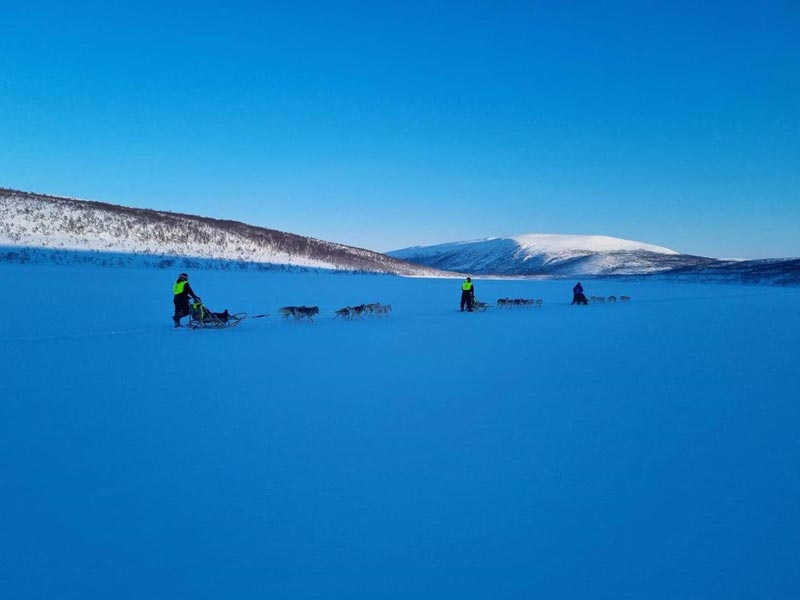 Experience Dog Sledding and Winter Camping in Finnmark