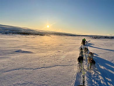 Experience Dog Sledding and Winter Camping in Finnmark | Photo: PIR