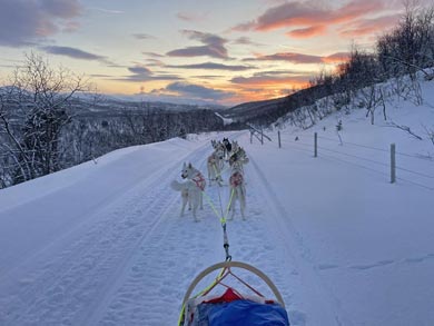 Experience Dog Sledding and Winter Camping in Finnmark | Photo: PIR