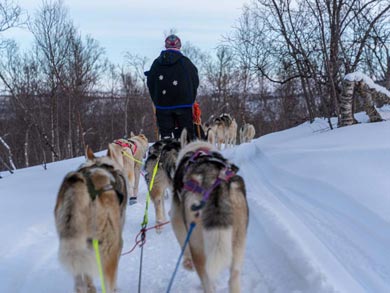 Experience Dog Sledding and Winter Camping in Finnmark | Photo: PIR