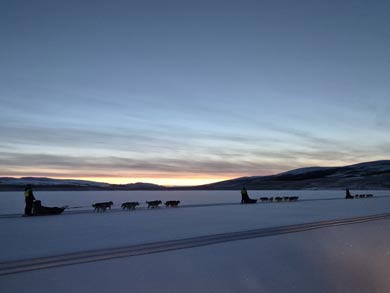 Experience Dog Sledding and Winter Camping in Finnmark | Photo: Julianne O'Reilly Wapstra