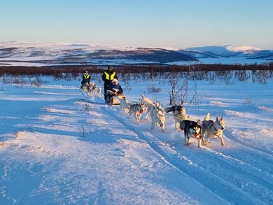 Experience Dog Sledding and Winter Camping in Finnmark | Photo: PIR