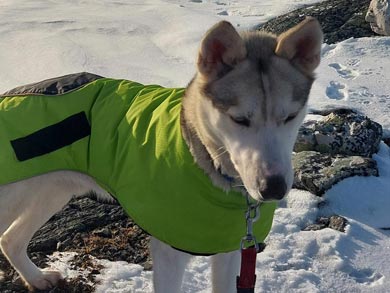 Ski Touring and Winter Camping on the Finnmark Plateau | Photo: PIR