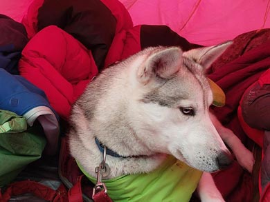 Ski Touring and Winter Camping on the Finnmark Plateau | Photo: PIR