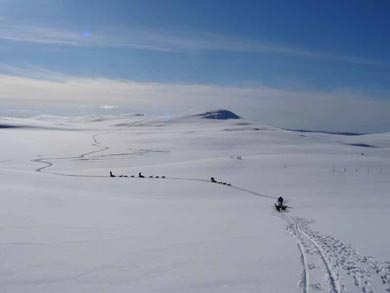 Wilderness Dogsled Adventure in Vindelfjällen | Photo: PK