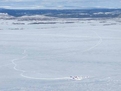 Wilderness Dogsled Adventure in Vindelfjällen | Photo: PK