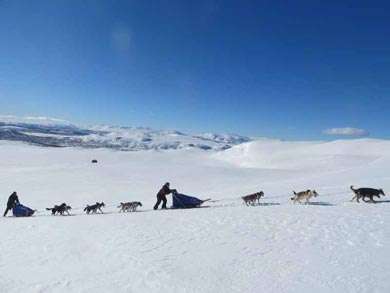 Wilderness Dogsled Adventure in Vindelfjällen | Photo: PK
