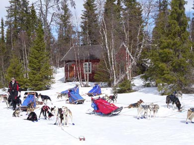 Wilderness Dogsled Adventure in Vindelfjällen | Photo: PK