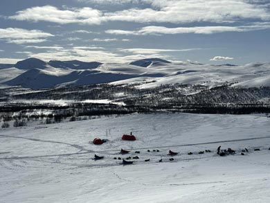 Wilderness Dogsled Adventure in Vindelfjällen | Photo: Chris Bryce