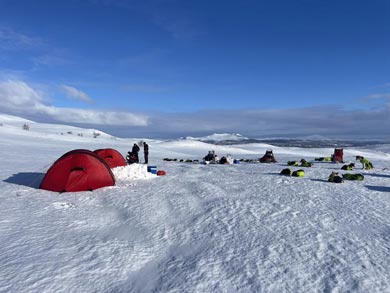 Wilderness Dogsled Adventure in Vindelfjällen | Photo: Chris Bryce