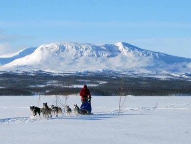 Wilderness Dogsled Adventure in Vindelfjällen | Photo: PK