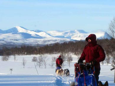 Wilderness Dogsled Adventure in Vindelfjällen | Photo: Heike Oberg
