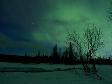 Northern Lights during the tour | Photo: Lydia Lam