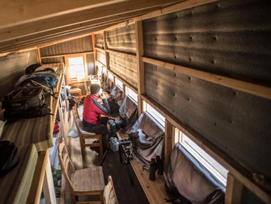 The wildlife watching hide - what will appear this evening? | Photo: RM
