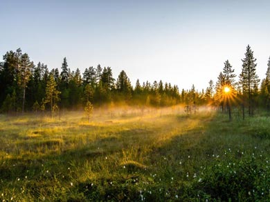 Lapland in summer and autumn is full of atmosphere and natural beauty | Photo: RM