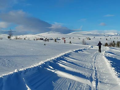 Learn to Backcountry Ski in Rondane | Photo: RRL