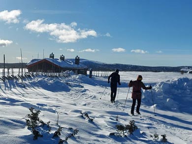 Learn to Backcountry Ski in Rondane | Photo: RRL