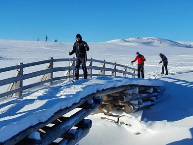 Learn to Backcountry Ski in Rondane | Photo: RRL