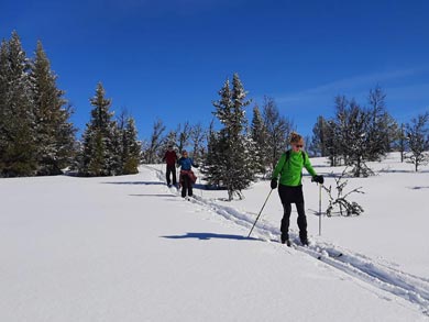 Example mountain cabin for overnight tour | Photo: RRL