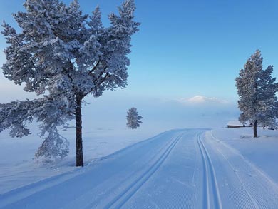 Ski Touring on the Troll Trail | Photo: RS
