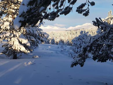 Ski Touring on the Troll Trail | Photo: RS
