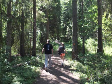Canoe or Kayak in Linnansaari and Kolovesi National Park | Photo: SEO