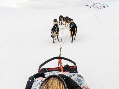 Dog sledding is an optional activity for your stay | Photo: SS