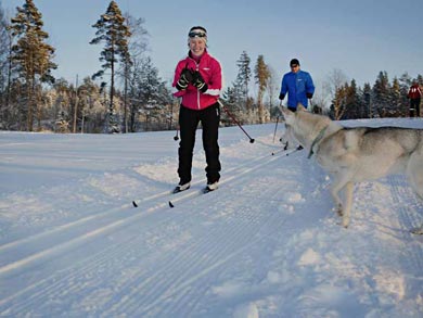 Cross country skiing from the cabins | Photo: TET