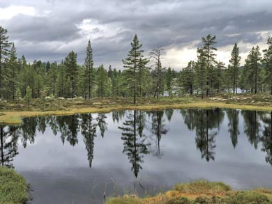 Discover Wilderness Canoeing in Rogen | Photo: Tine Poppe