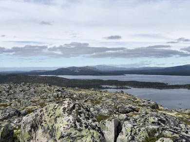 Discover Wilderness Canoeing in Rogen | Photo: Tine Poppe