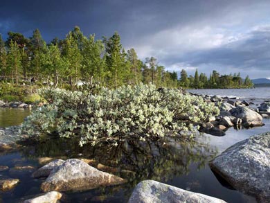 Discover Wilderness Canoeing in Rogen | Photo: Euan Turner DMh Photo