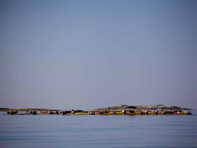 Self-guided Sea Kayaking in Bohusl&auml;n (Option 2 tour) | Photo: J. Hermanssson