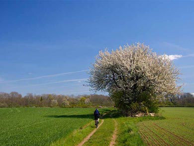 The multi-activity itinerary includes a mountain biking day | Photo: J. Hermansson