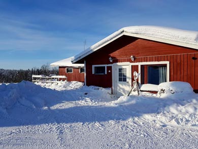 Accommodation at the kennels | Photo: UT