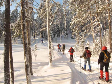 Snowshoeing in Hossa National Park | Photo: UT
