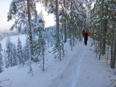 The ridge landscape for which Hossa is famous | Photo: UT