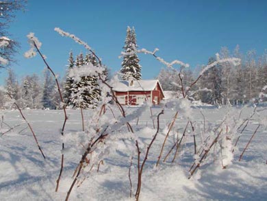 Winter landscape in Hossa | Photo: UT