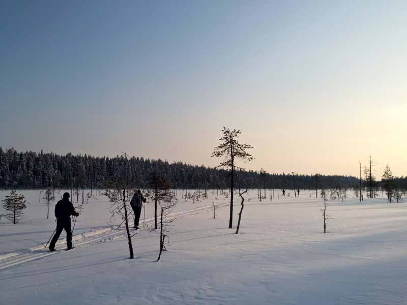 Cross Country Skiing in Hossa and Kalevala National Parks