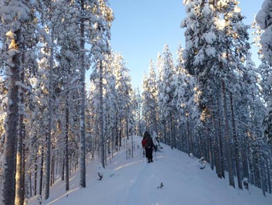 Snowshoeing in the forest | Photo: UT