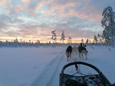 Dog sledding at dusk | Photo: UT