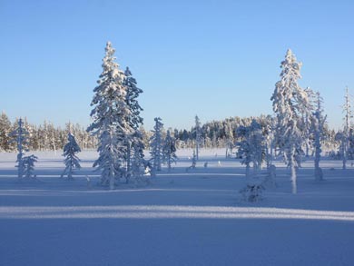 The beauty of winter | Photo: UT