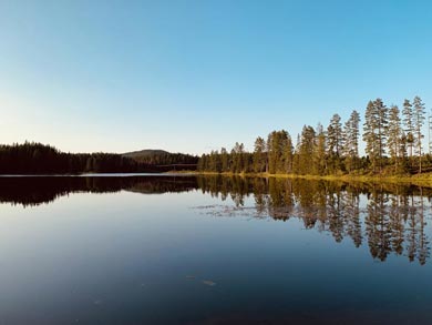 Canoe Tours on Svartälven | Photo: Will Burton