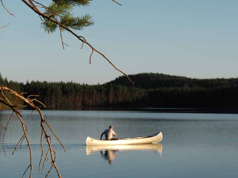 Canoe Tours on Svartäven