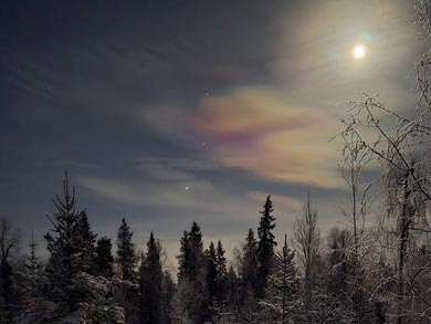 Dog sledding by moonlight | Photo: WLA